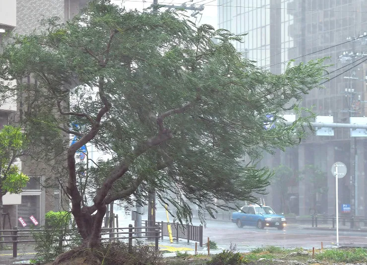 Bão Trami đổ bộ Nhật Bản, 5 người bị thương ảnh 4