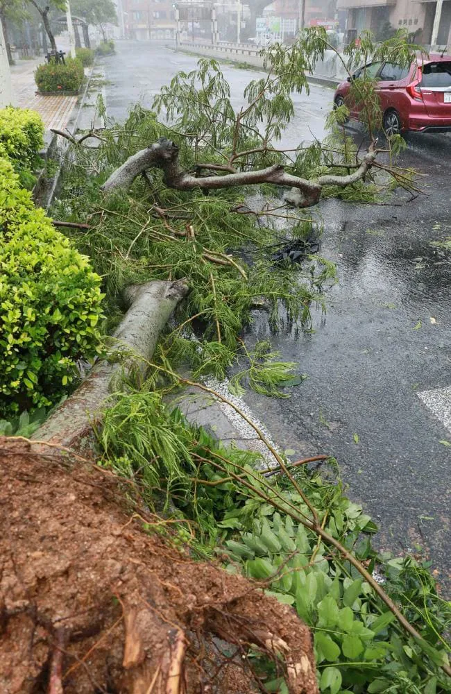 Bão Trami đổ bộ Nhật Bản, 5 người bị thương ảnh 3