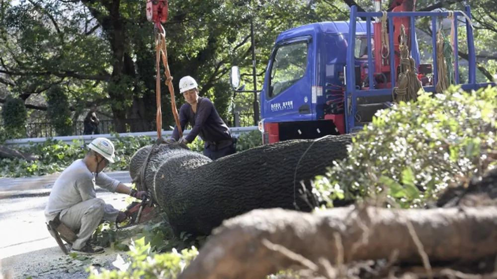  Bão Trami đổ bộ Nhật Bản, 2 người chết, hơn 150 người bị thương ảnh 1