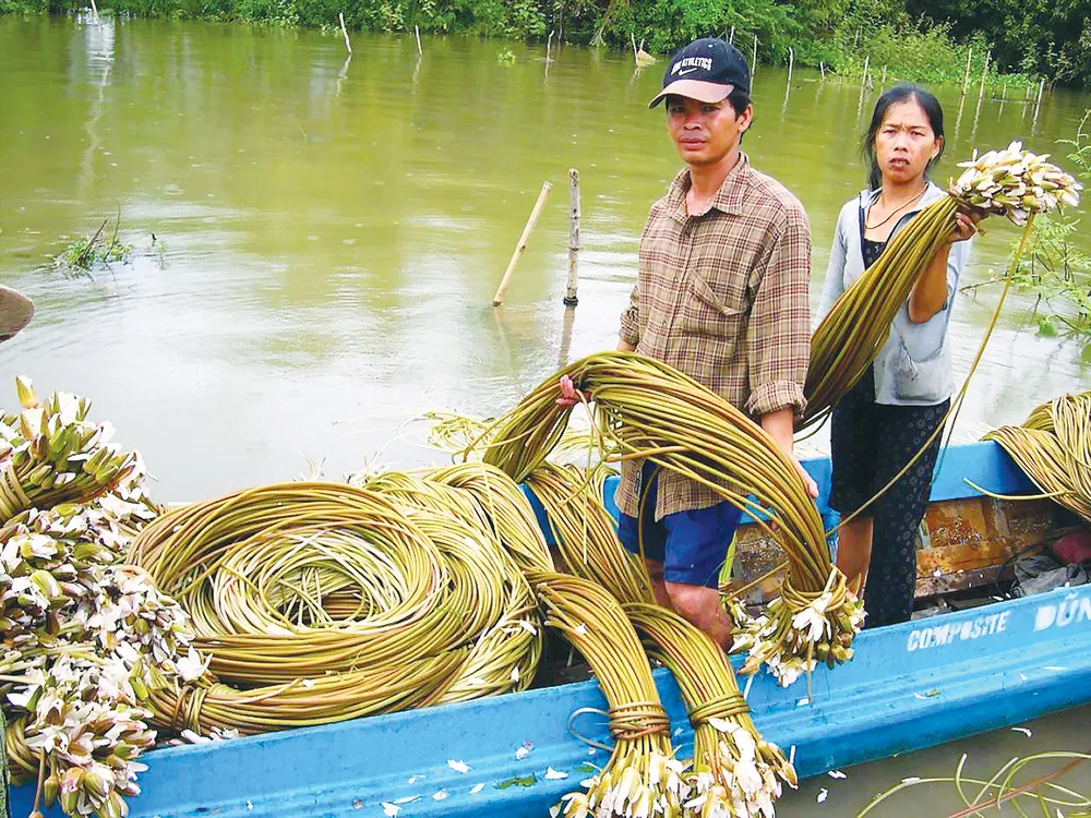 Mùa lũ an bình ở ĐBSCL  ảnh 3