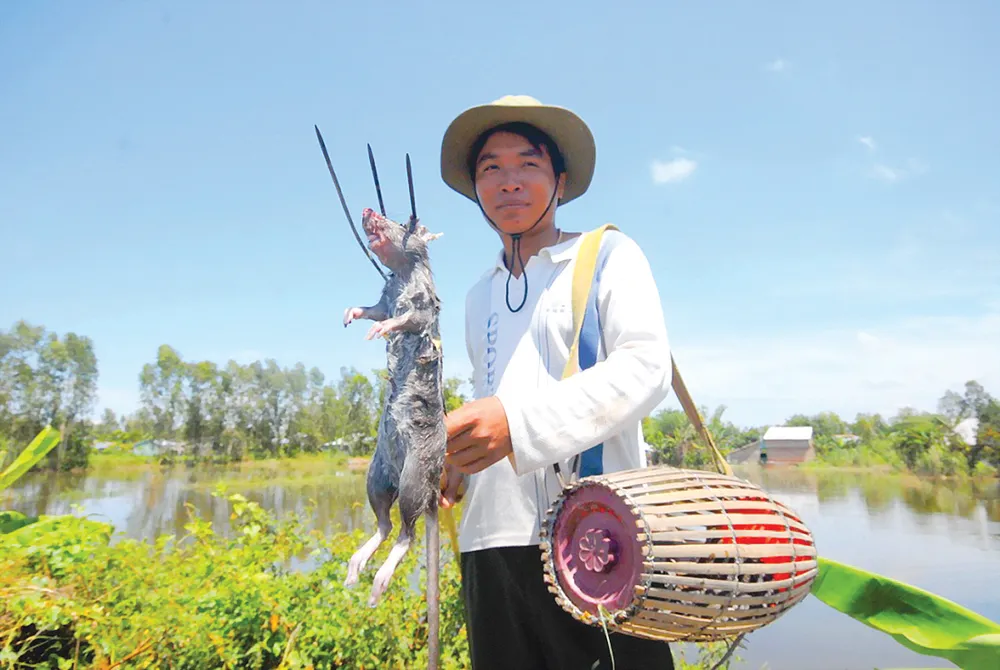 Mùa lũ an bình ở ĐBSCL  ảnh 8