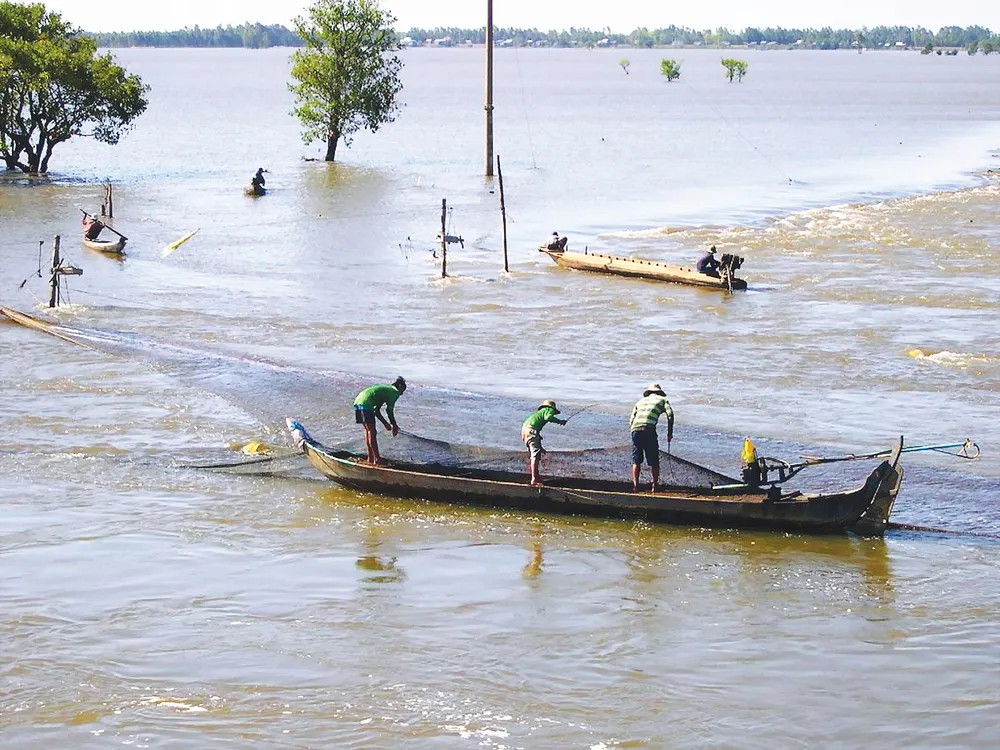 Mùa lũ an bình ở ĐBSCL  ảnh 4
