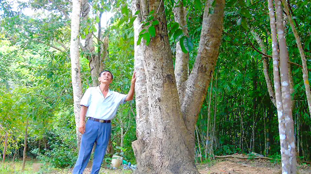 Ông Bảy Ách bên trong khu rừng bán ngập  