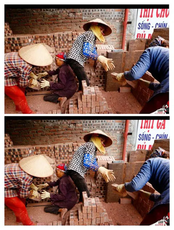 Biến “chó” thành “gà” - ban tổ chức phạm quy? ảnh 1