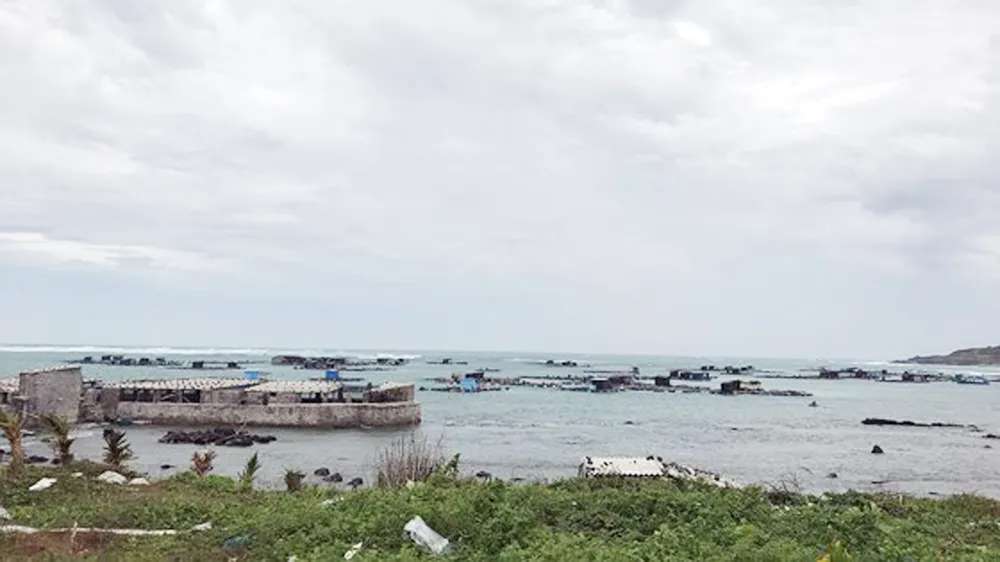 Bão số 9 sắp đổ bộ, Nhiệt điện Vĩnh Tân tạm dừng vận hành, từ chiều nay TPHCM sẽ mưa lớn ảnh 5