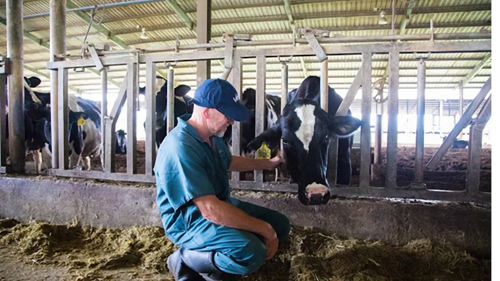 Tập đoàn TH sản xuất thành công sữa tươi A2  ảnh 1