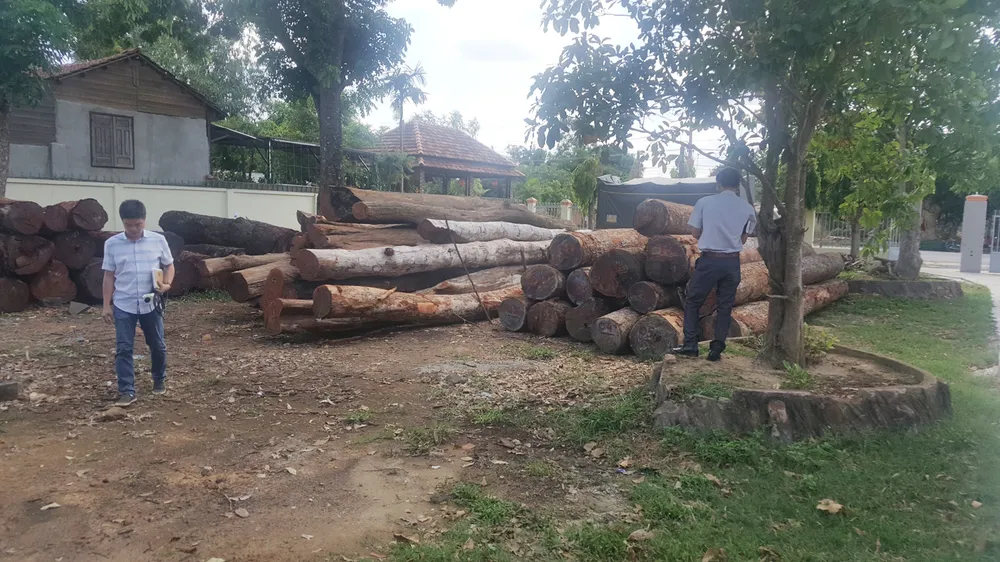 Khởi tố, lệnh bắt tạm giam giám đốc liên quan đến đường dây gỗ lậu Phượng “râu” ảnh 1