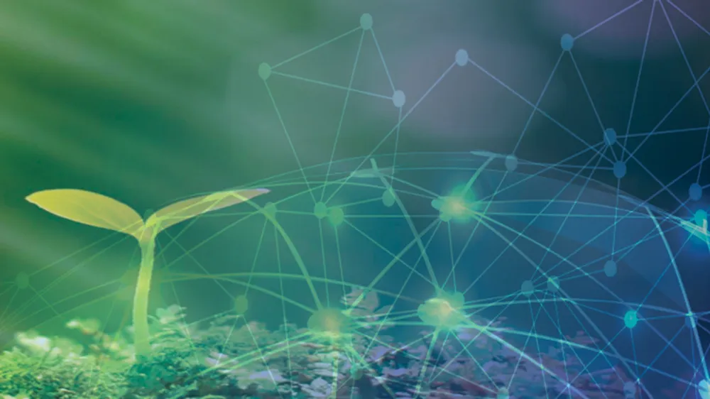 Kỳ vọng Nông nghiệp số   