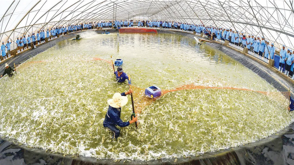 Châu thổ Cửu Long: Kỳ vọng nông nghiệp số ảnh 1