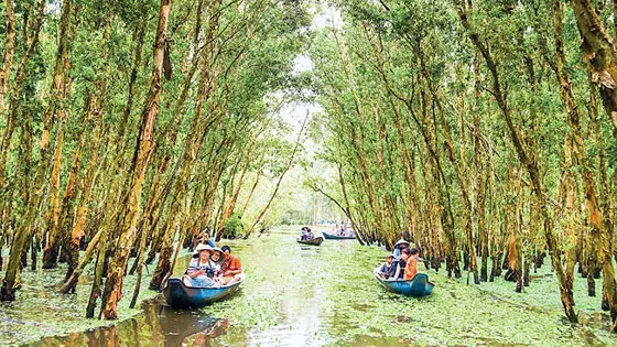 Bảy Núi vào mùa trẩy hội ảnh 2