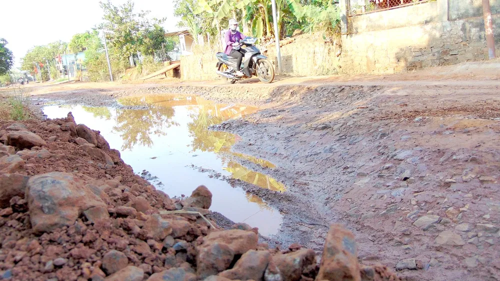 Con đường tan nát ảnh 1