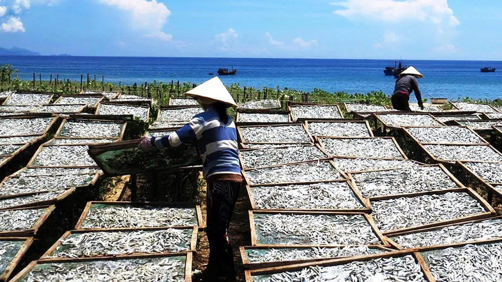 Thăng trầm nước mắm truyền thống - Bài 1: Giọt mặn mòi của biển ảnh 2