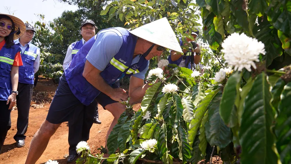 NutiFood bắt tay Greg Norman đưa cà phê Việt xuất khẩu ảnh 3