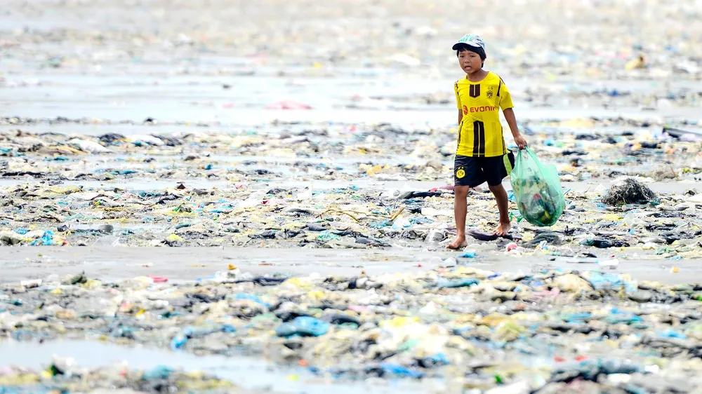 Sống xanh bắt nguồn từ giáo dục  ảnh 1