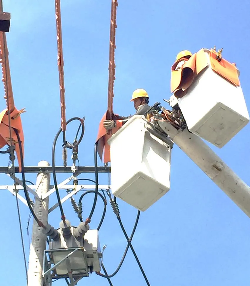 Cam kết đủ điện phục vụ trong mùa nắng nóng ảnh 1