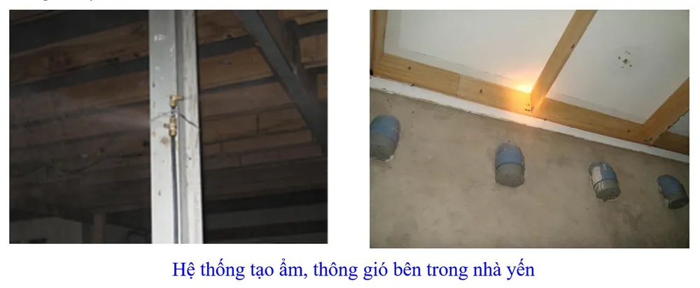 Phát triển bền vững nghề nuôi chim Yến tại Nam Trung bộ và Tây Nguyên ảnh 21