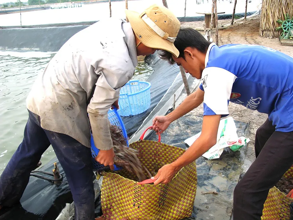 50 năm thực hiện Di chúc của Chủ tịch Hồ Chí Minh: Những mô hình hiệu quả ảnh 1