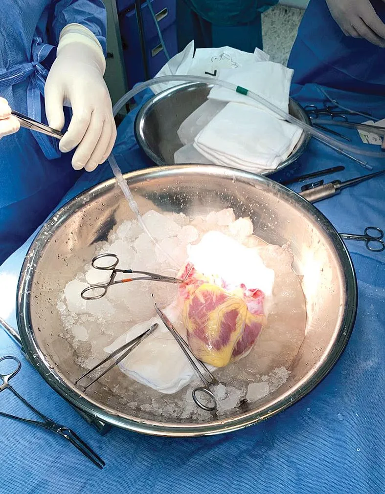 Hành trình của yêu thương ảnh 1