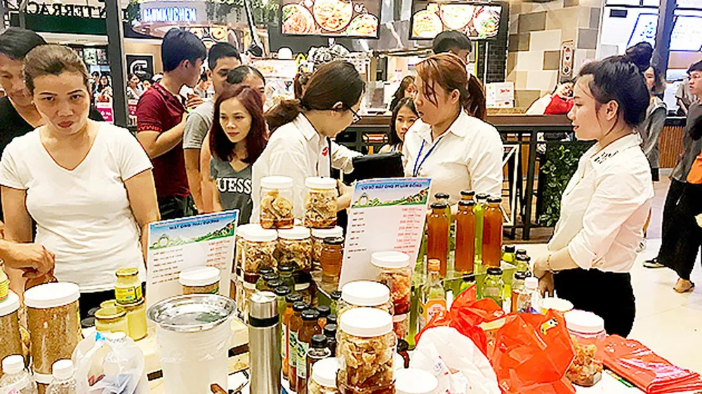 Xúc tiến sản phẩm của Lâm Đồng vào TPHCM ảnh 1
