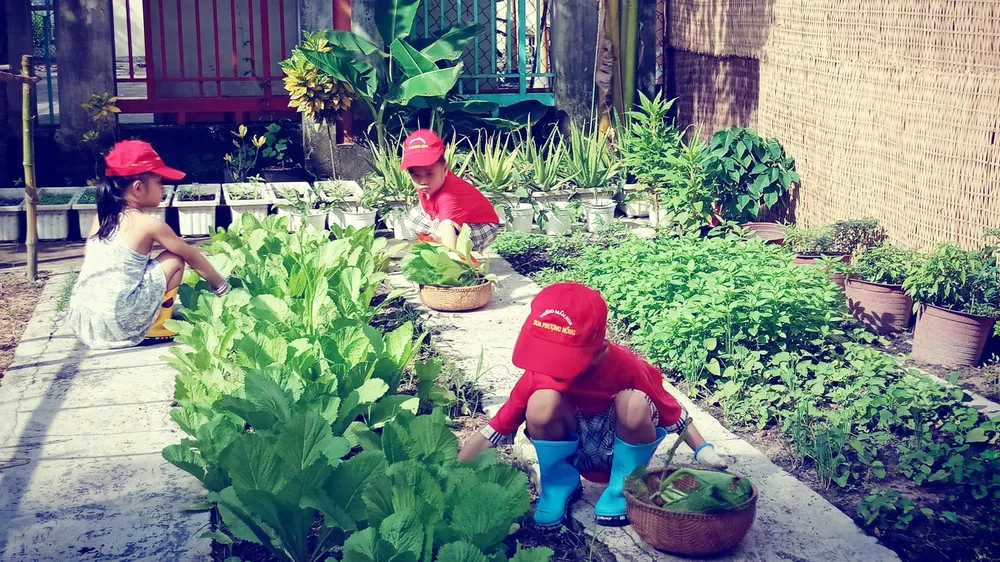 Nỗ lực xanh hóa trường học ảnh 1