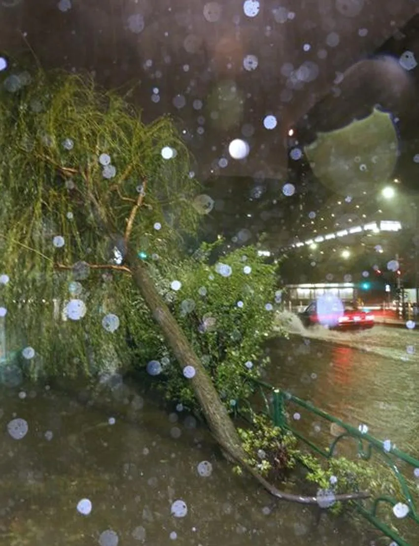 Siêu bão Faxai đổ bộ Nhật Bản, giao thông nhiều nơi tê liệt ảnh 2