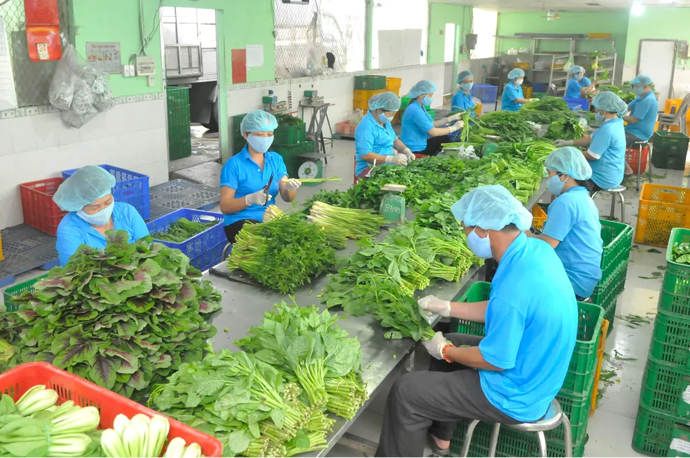 Thực phẩm sạch vẫn khó tiếp cận nhà hàng, khách sạn  ảnh 1