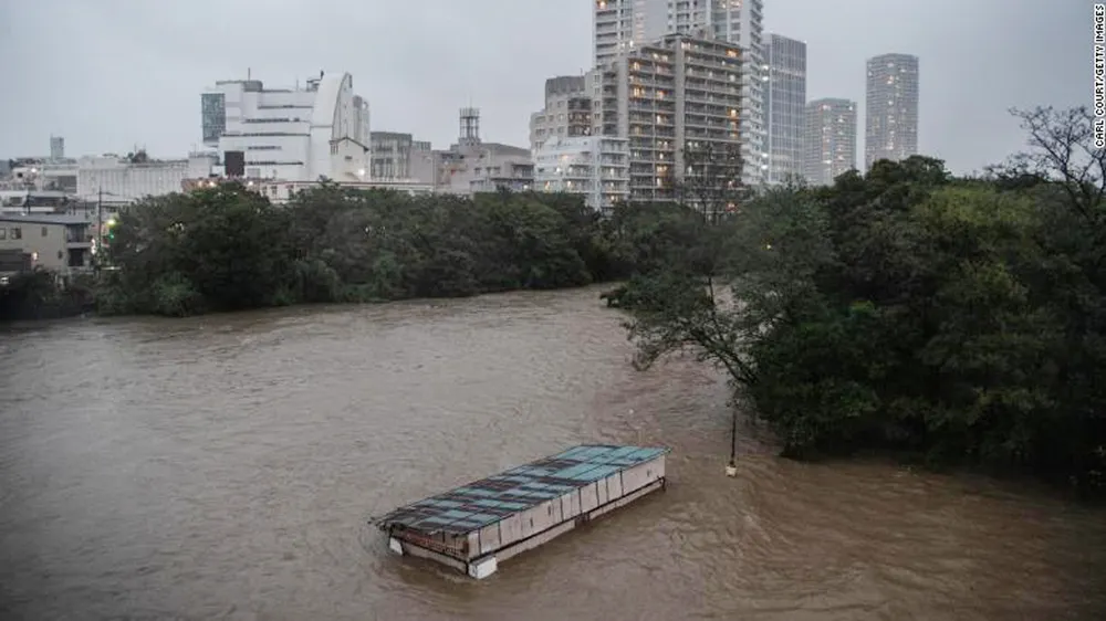 Nhật Bản tan hoang sau siêu bão Hagibis ảnh 3