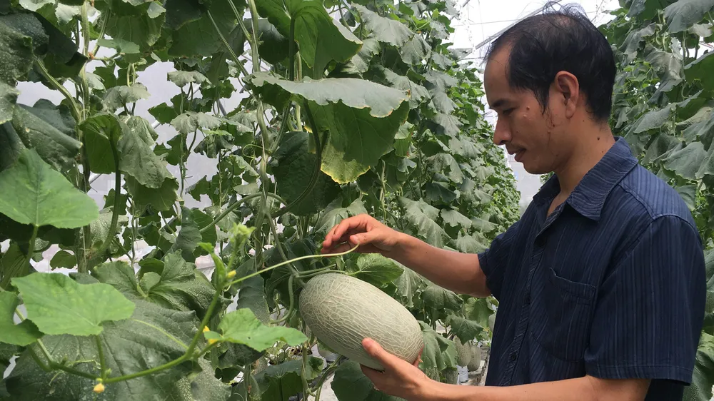 Giá trị sản xuất nông nghiệp tăng đều qua các năm ảnh 1