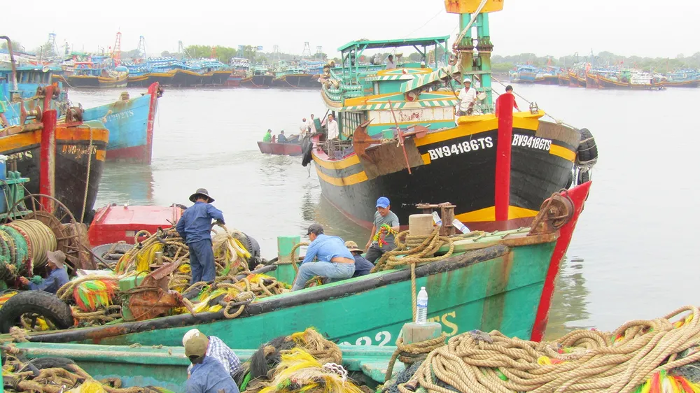 Cấp bách tái cơ cấu đánh bắt thủy sản ảnh 1