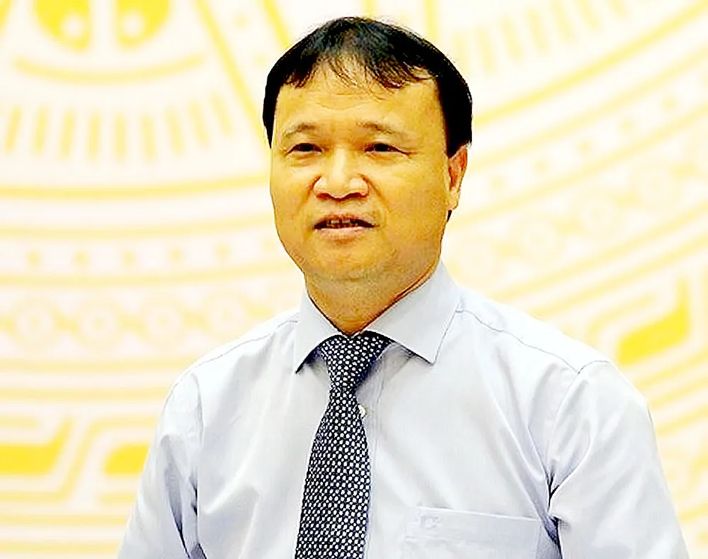 Thứ trưởng Bộ Công thương Đỗ Thắng Hải: Kiểm soát chặt chẽ gian lận thương mại ảnh 1