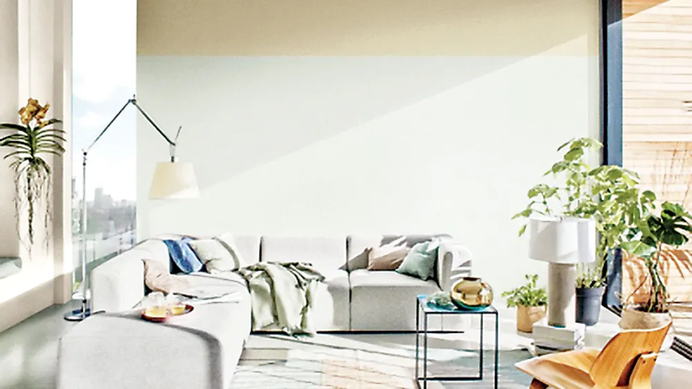 Xanh Ban Mai là Màu của năm 2020