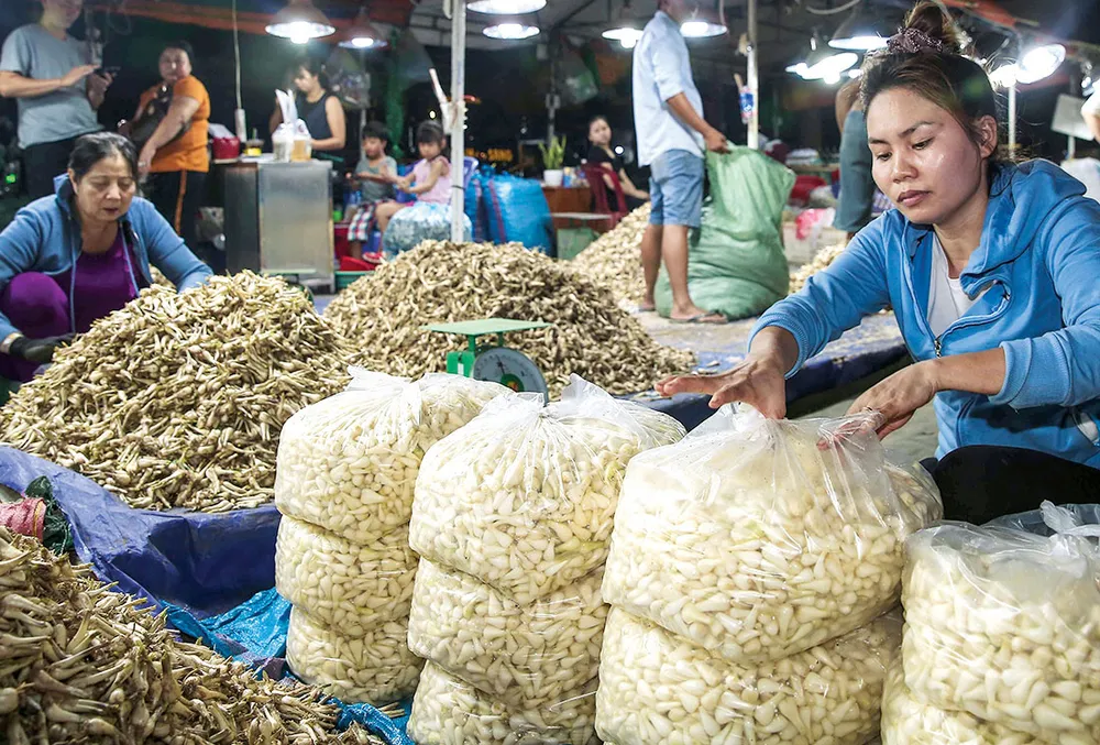 Hàng tết ùa về thành phố ảnh 4