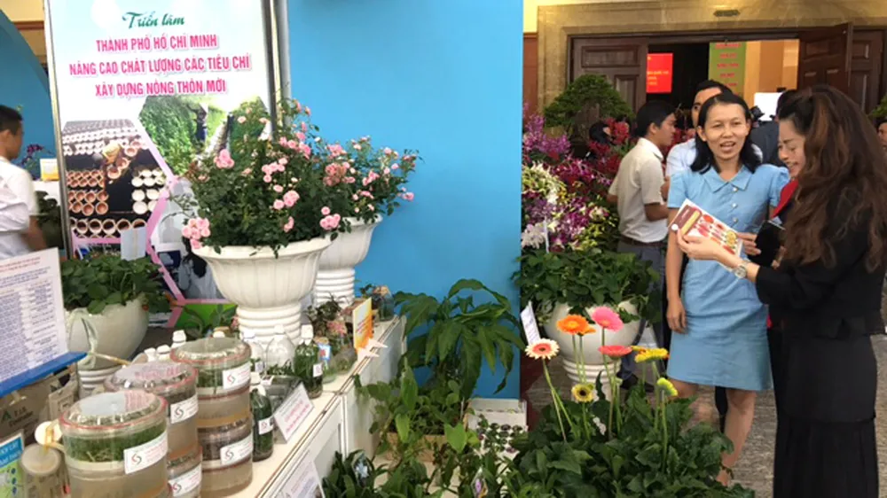 Nhộp nhịp sản xuất và mua sắm hàng tết ảnh 2