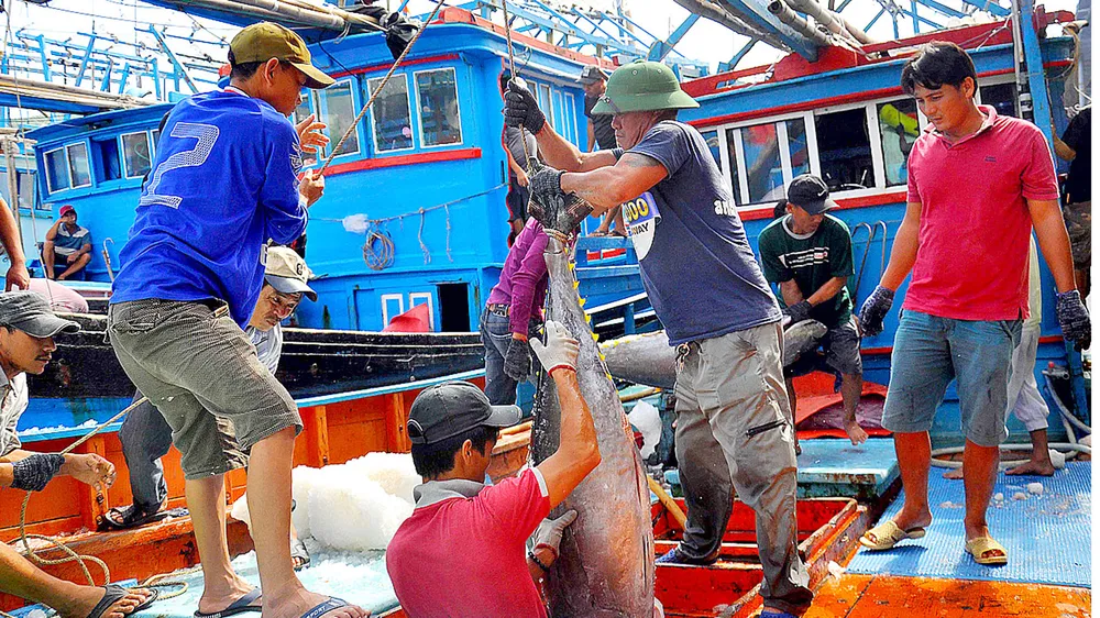 Chuyến biển xuyên tết 