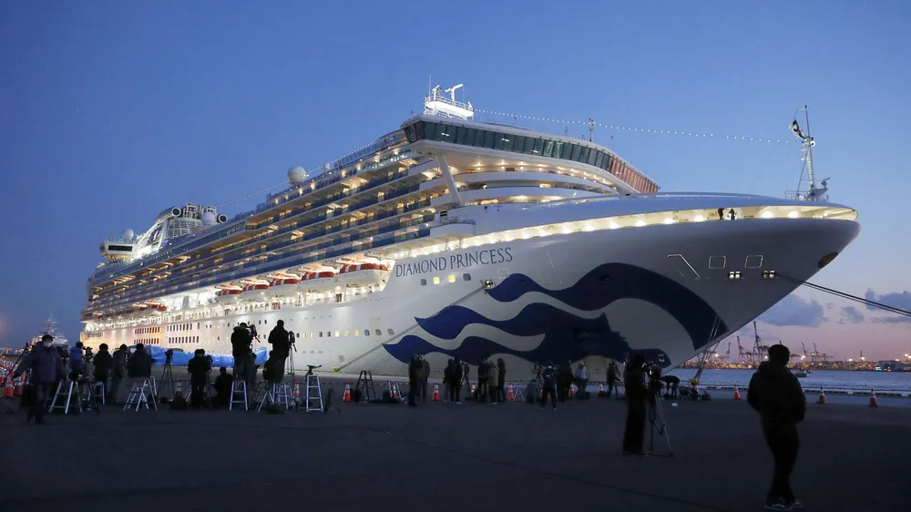 Nhật Bản xác nhận thêm 66 ca nhiễm virus Corona trên tàu Diamond Princess ảnh 2
