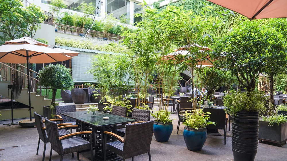 Khách sạn Rex Sài Gòn triển khai các khuyến mãi kích cầu sử dụng dịch vụ ảnh 4