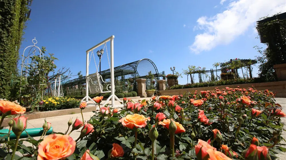 Du khách hào hứng trong ngày đầu Bà Nà Hills đón khách trở lại ảnh 6