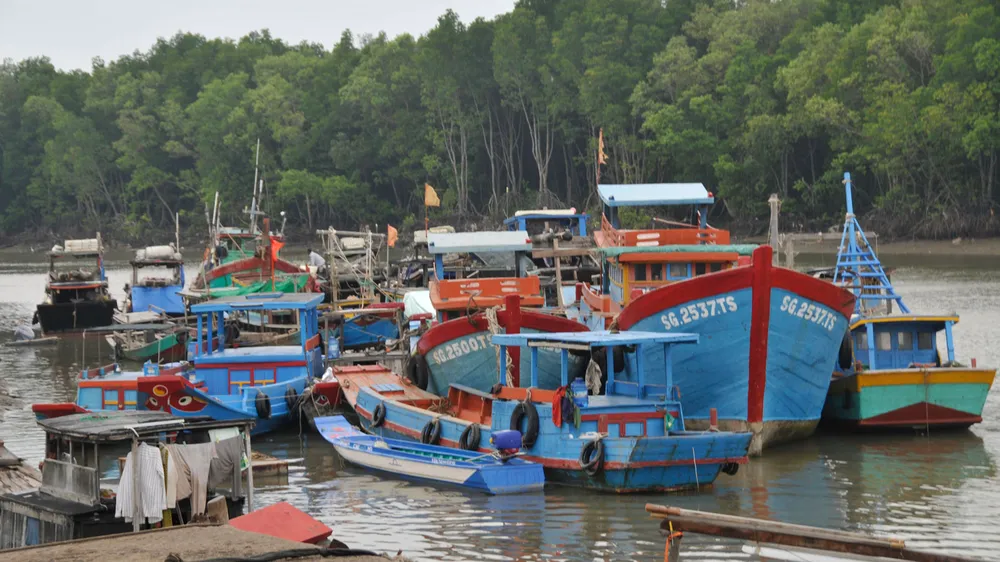Ghe tàu ở huyện đảo Cần Giờ (TPHCM) trong một lần tập trung trú ẩn tránh bão. Ảnh: CAO THĂNG