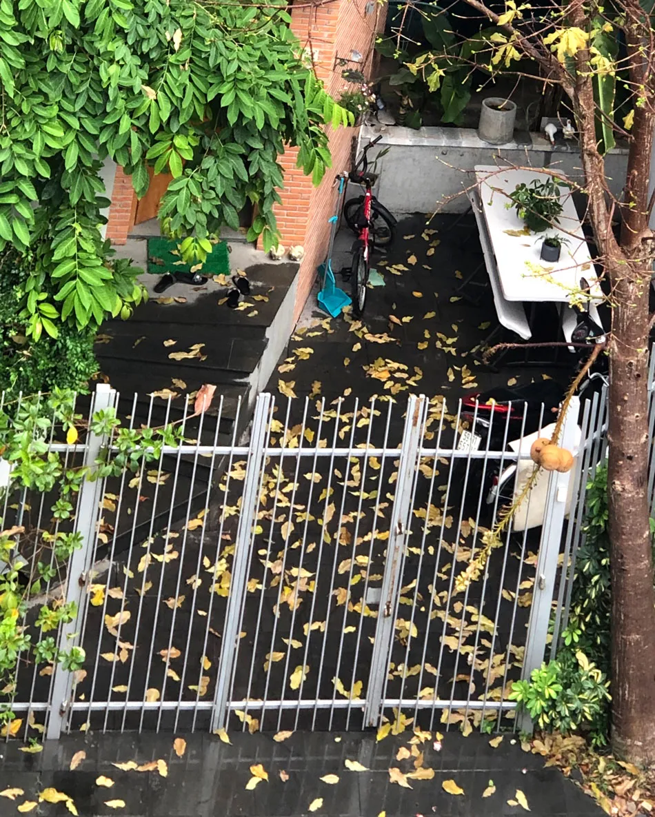 Về nhà sau cơn bão ảnh 1