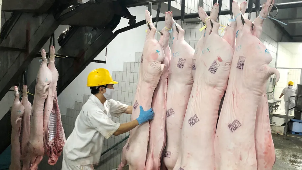 Tăng lượng thịt heo để đáp ứng nhu cầu tiêu dùng  của người dân trong nước 