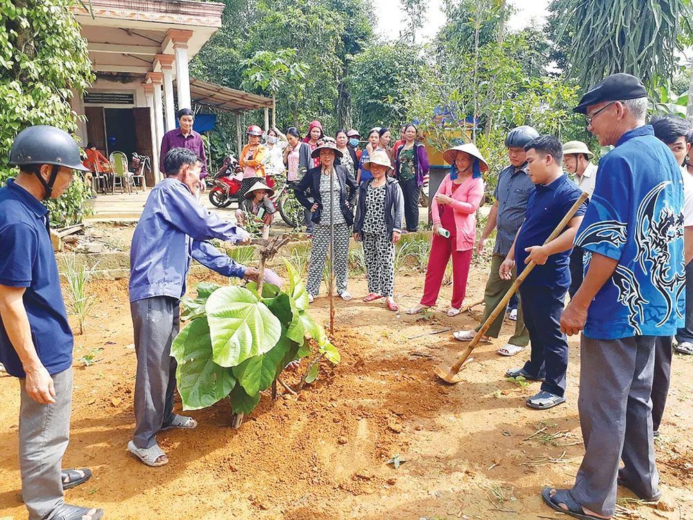Lên danh trái vả ảnh 1