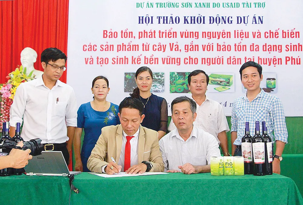 Lên danh trái vả ảnh 6