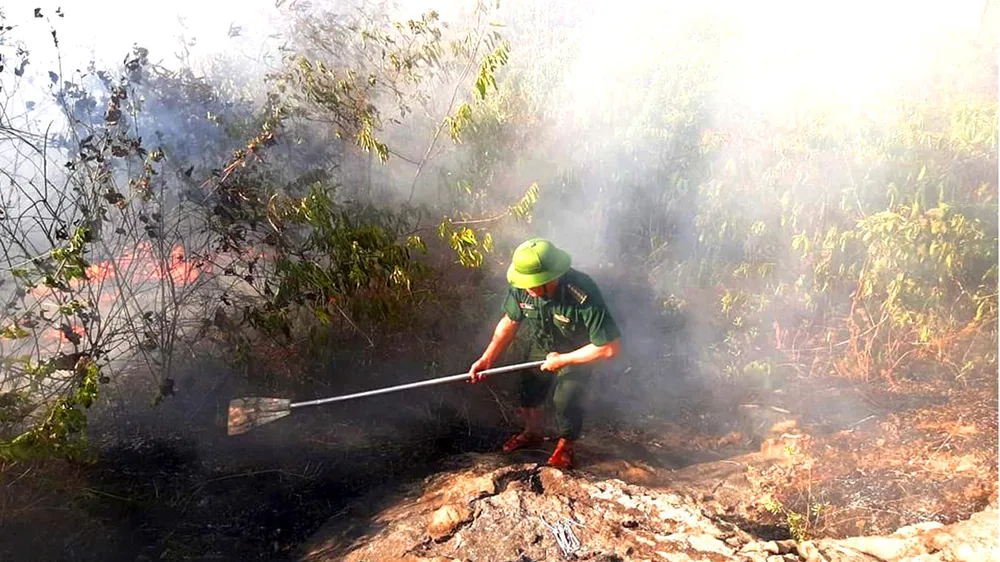 đã được huy động đến hiện trường, sử dụng các phương tiện tham gia chữa cháy