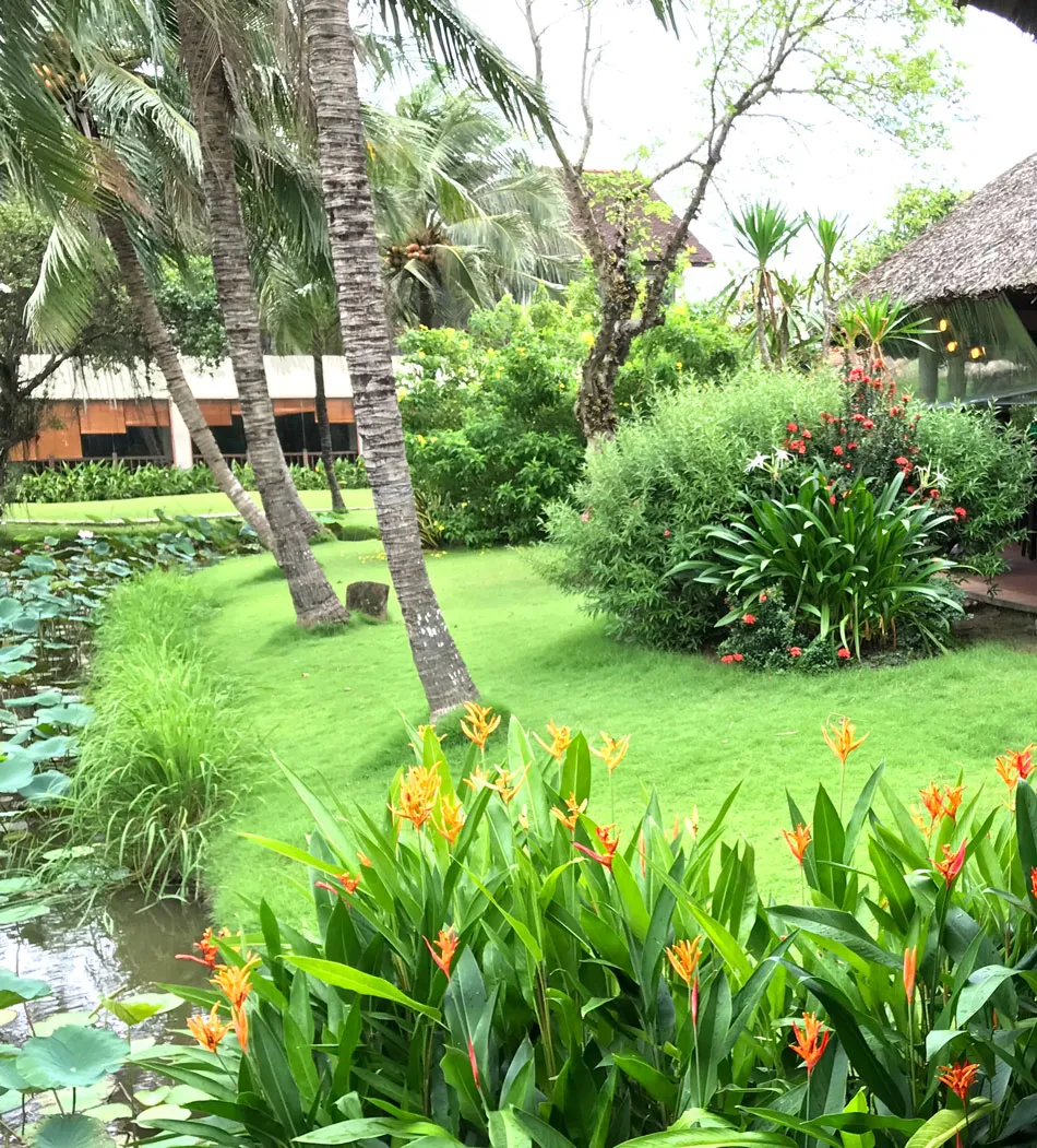 Những cung đường nở hoa ảnh 1