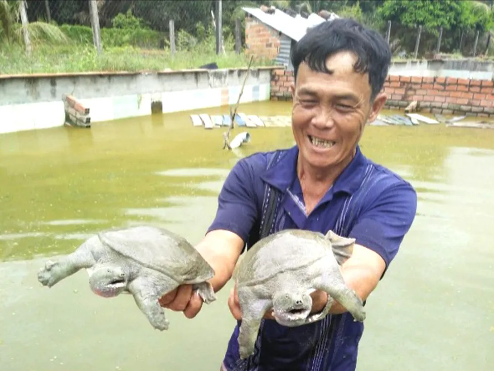 Từ Chiến khu đến Chiến khu - Bài 3: Xã anh hùng xây dựng nông thôn mới ảnh 1