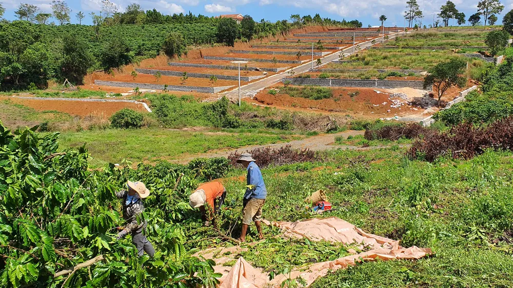 Bát nháo phân lô, bán nền tại Nam Trung bộ - Tây Nguyên - Bài 3: Hỗn độn khu dân cư tự phát ảnh 2