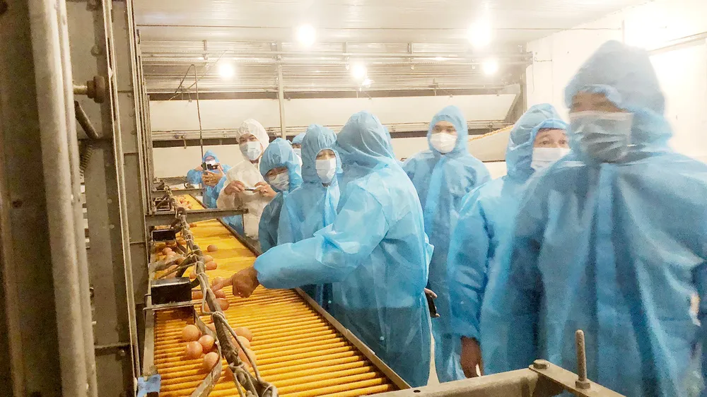 Đoàn công tác Bộ NN-PTNN thăm trại gà Ba Huân  tại huyện Bến Lức (Long An)