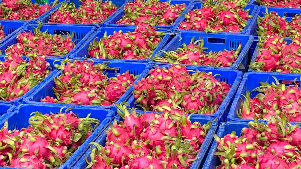 Giám sát mã số vùng trồng nông sản xuất khẩu ảnh 1