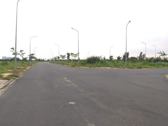 Toàn bộ xã Long Hưng bị giải tỏa trắng để các công ty bất động sản phân lô bán nền