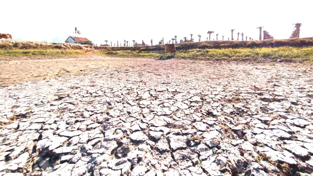 Tây Nguyên - Nam Trung bộ ứng phó nguy cơ sa mạc hóa - Bài 1: Suy kiệt nguồn nước ảnh 1